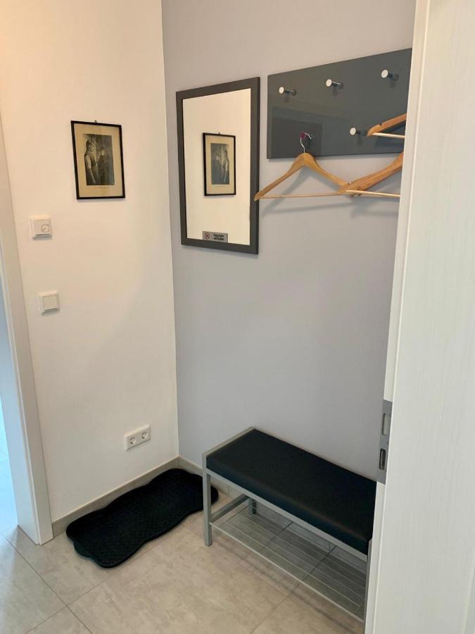 Ferienwohnung Zur Dexter-Zucht Coswig Coswig  Εξωτερικό φωτογραφία